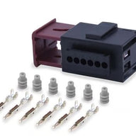 Plug and Pins Only - Suits VE Commodore APP