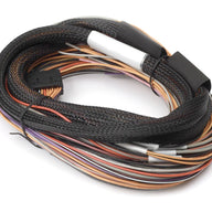 IO 12 Expander Flying Lead Harness Length: 2.5m (8')
