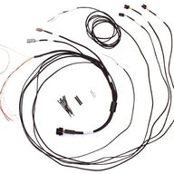 Semi Terminated Stand-Alone Harness For iC-7 Display Dash