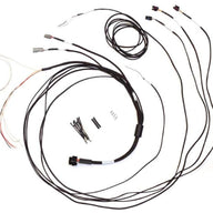 Haltech Semi Terminated Stand-Alone Harness For iC-7 Display Dash