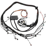 Elite 2000/2500 Toyota 2JZ Terminated Engine Harness