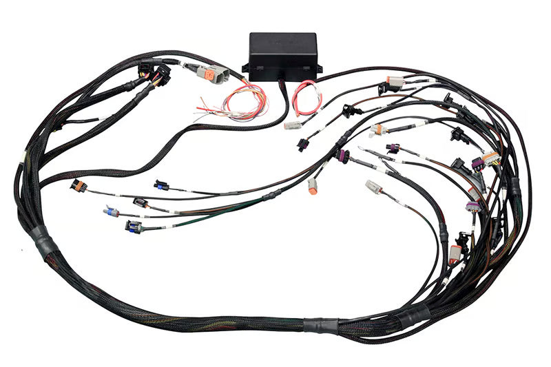 Elite 2000/2500 GM GEN III LS1 & LS6 non DBW Terminated Harness (EV1)