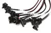 Elite 2000/2500 GM GEN III LS1 & LS6 non DBW Terminated Harness (EV1)