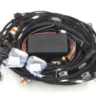 Elite 2500 GM GEN III LS1 & LS6 (DBW Retrofit Ready) Terminated Harness (EV1)