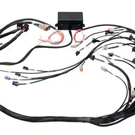 Elite 2000/2500 GM GEN IV LSx (LS2/LS3 etc) non DBW Terminated Harness (EV6)