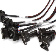 Elite 2500 V8 Small/Big Block GM, Ford & Chrysler Terminated Harness