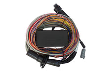 Load image into Gallery viewer, Elite 550 + Premium Universal Wire-in Harness Kit Length: 5.0m (16&#39;)
