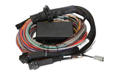 Load image into Gallery viewer, Haltech ELITE 1500 + Premium Universal Wire-in Harness Kit Length: 5m (16&#39;)
