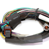 Elite 2500 + Basic Universal Wire-in Harness Kit Length: 2.5m (8')