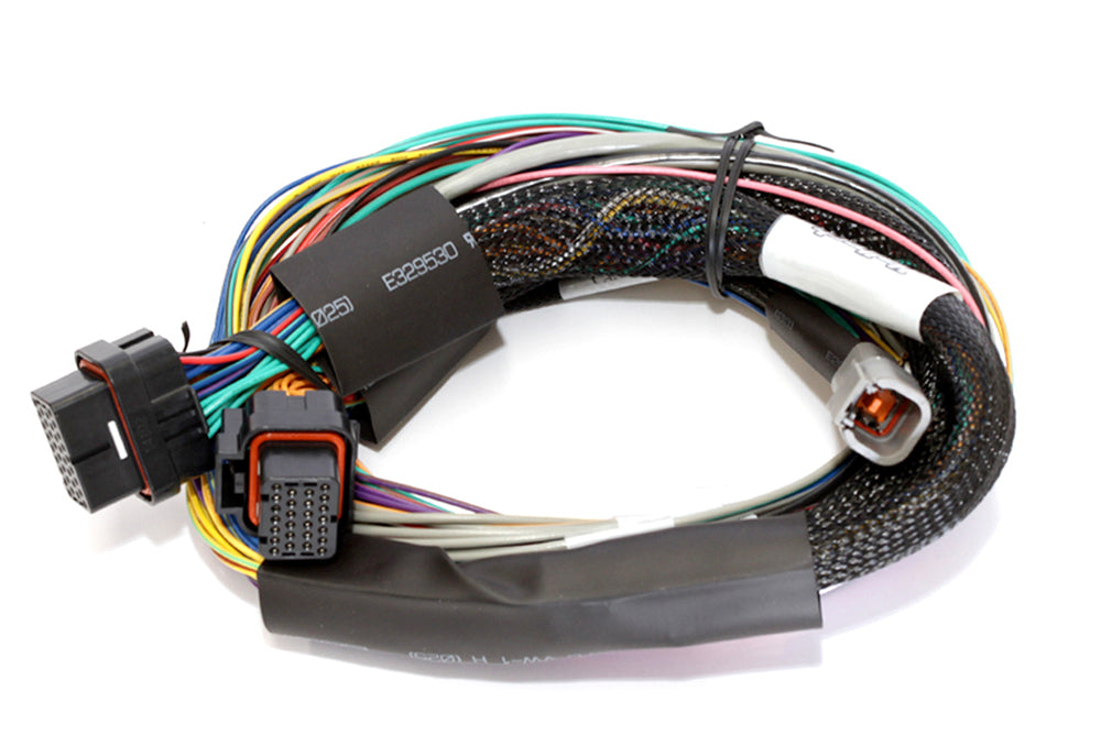 Elite 2500 + Basic Universal Wire-in Harness Kit Length: 2.5m (8')