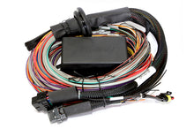 Load image into Gallery viewer, Haltech ELITE 2500 + Premium Universal Wire-in Harness Kit Length: 5.0m (16&#39;)
