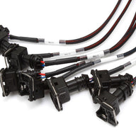 Elite 2500 + GM GEN III LS1 & LS6 non DBW Terminated Harness Kit (EV1)