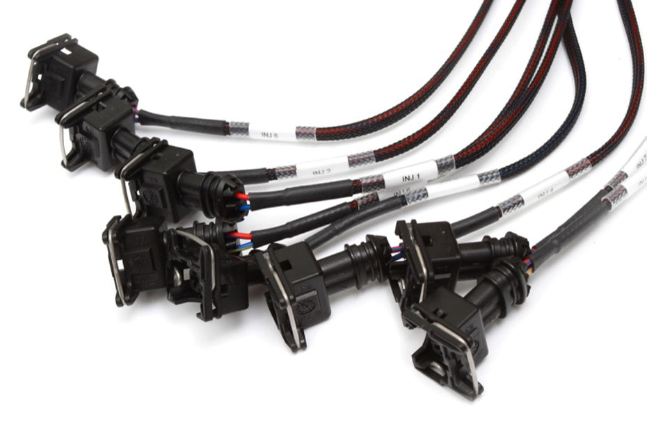Elite 2500 + GM GEN III LS1 & LS6 non DBW Terminated Harness Kit (EV1)