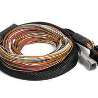 Nexus IO16 Universal Wire in harness 2.6m (8.5')