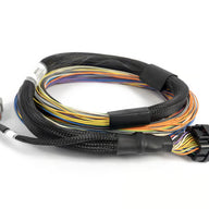 Nexus T2 / T1 Basic Universal Wire-in Harness