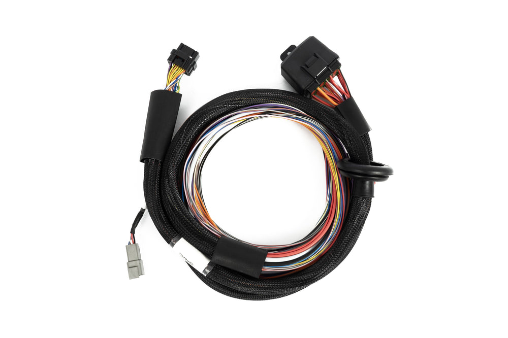 Wiring Harnesses