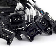 Nexus Universal V8 - Junior Timer (EV1) Injector Primary Breakout