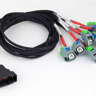 Nexus R5 LSx Non DBW Terminated Harness