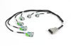 i6 GT150 (USCAR EV6) Primary Injector Harness