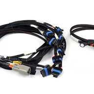 Nexus Universal V8 - IGN-1A Ford Harness