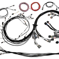 Nexus Universal V8 - IGN-1A Ford Harness