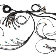 Nexus R5 LSx DBW Terminated Harness - DBW ready