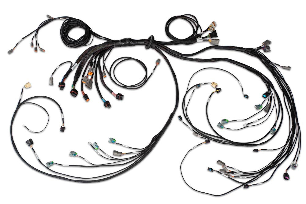 Nexus R5 + LSx Non DBW Terminated Harness