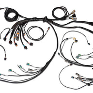Nexus R5 LSx Non DBW Terminated Harness