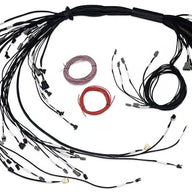 Nexus R5 LSx Non DBW Terminated Harness
