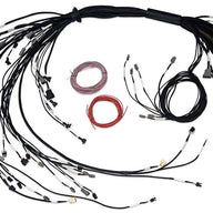 Nexus R5 LSx Non DBW Terminated Harness