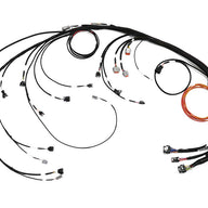 Nexus Rebel JZ - Main Terminated Harness