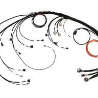 Nexus Rebel JZ - Main Terminated Harness