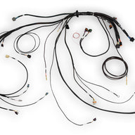 Plug and Pins Only - Metri-Pack 10 WAY 150 Series Sealed Female