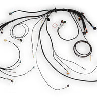 Nexus Rebel LS Terminated Harness for Nexus Rebel LS ECU