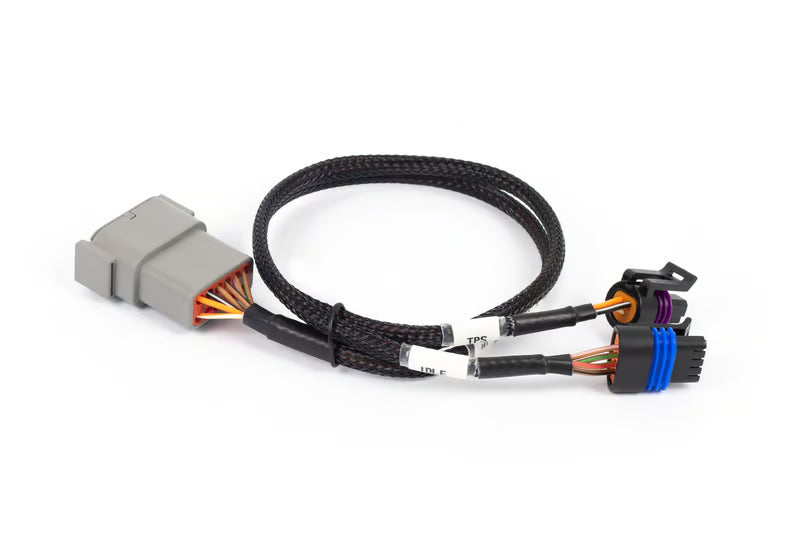 Nexus Rebel LS - Cable Throttle + IAC sub-harness In Stock AU