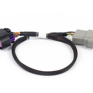 Nexus Rebel LS - 8-pin DBW adaptor