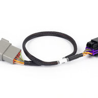 Nexus Rebel LS - 8-pin DBW adaptor