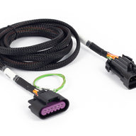 Plug and Pins Only - Suits VE Commodore APP