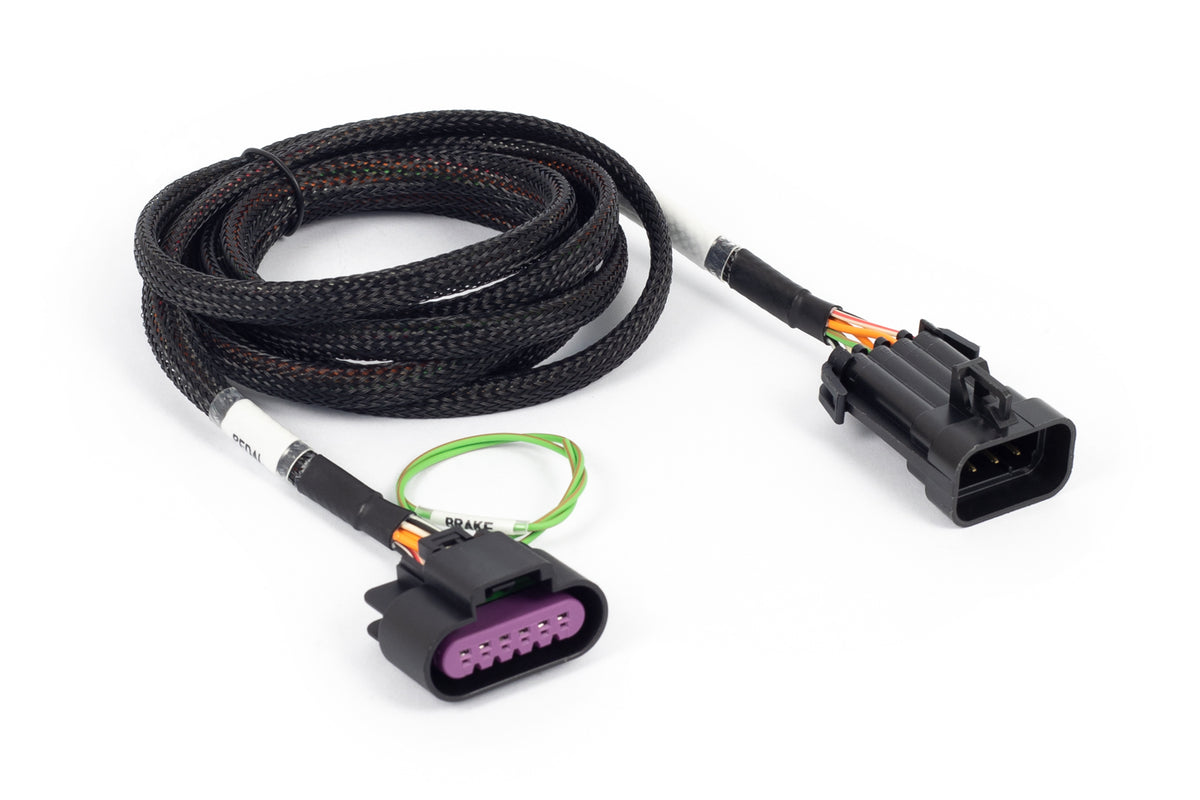 Plug and Pins Only - Suits VE Commodore APP