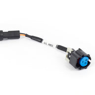 Nexus Rebel LS - Gen IV Oil pressure sensor adaptor harness