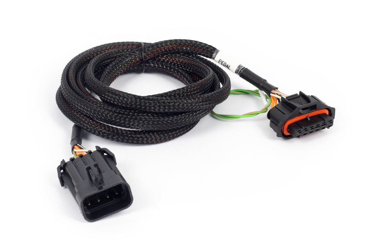 Plug and Pins Only - Suits VE Commodore APP
