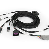Nexus Plug-in ECU - Honda EP3 (01-05) DC5 (02-04)