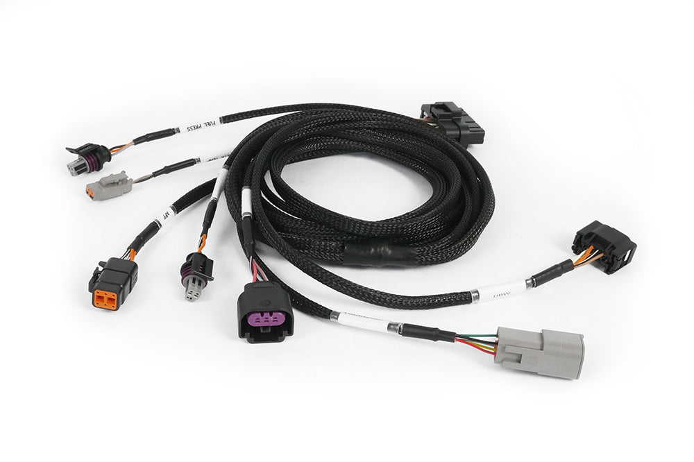 Nexus Plug-in ECU - Honda EP3 (01-05) DC5 (02-04)