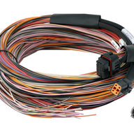 Haltech PD16 PDM + Flying Lead Harness (5M)