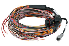 Load image into Gallery viewer, PD16 PDM + Flying Lead Harness (5M)
