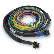 Nexus S2 ECU + Universal Wire-in Harness - 2.5m (8')