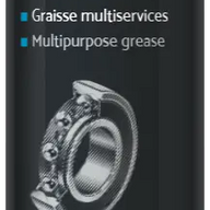 MOTUL GREASE 100