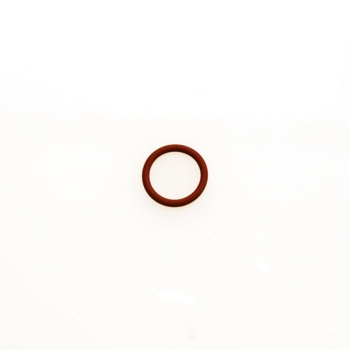 WG Valve Guide 'O' Ring
