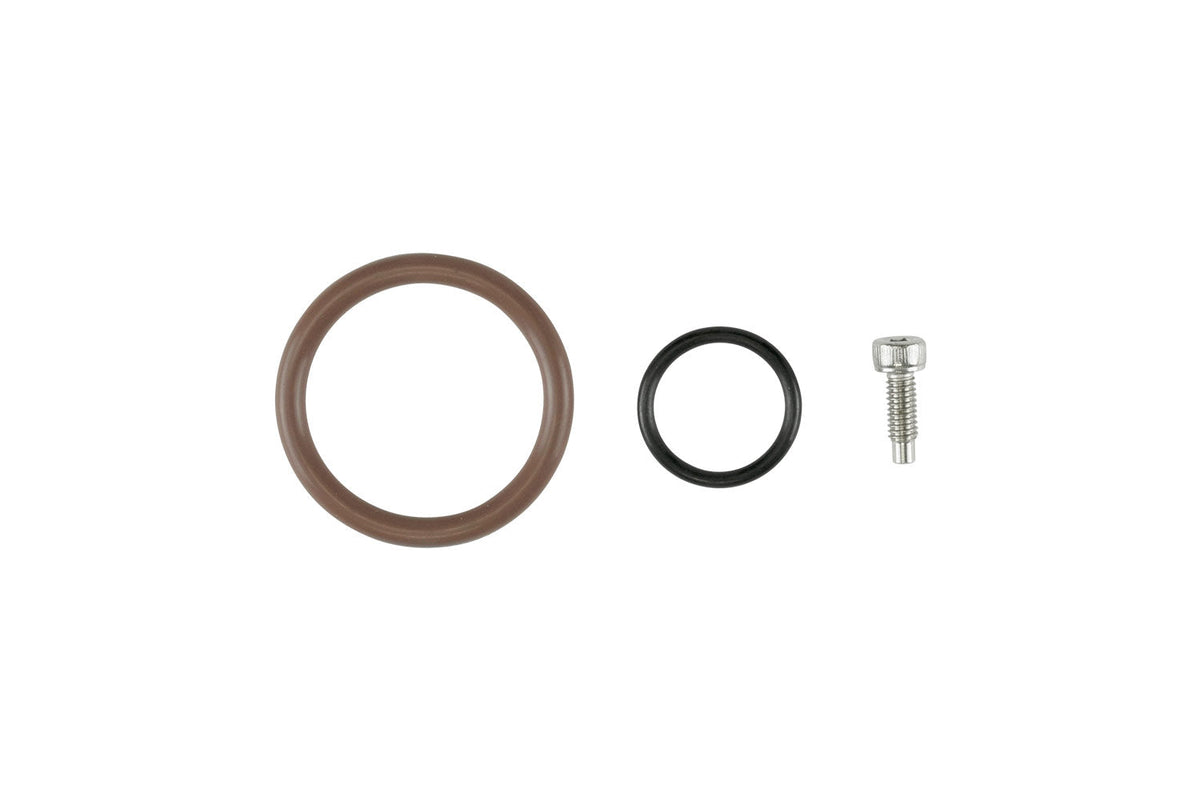 Oil Cap - LS O-Ring