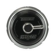 IWG75 Twin-Port Universal Wastegate Actuator (UNF) 14PSI